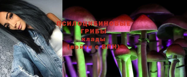 дурь Верхний Тагил
