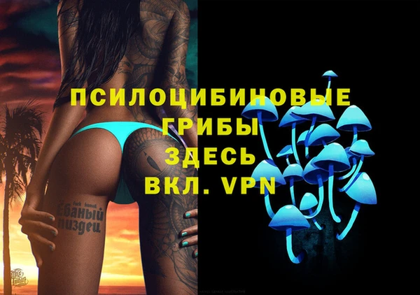 дурь Верхний Тагил